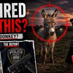 Georgia officer fired on familys miniature donkey during search for missing girl