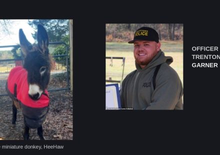 HeeHaw the miniature donkey, and Cedartown Police Officer Trenton Garner (file photos)