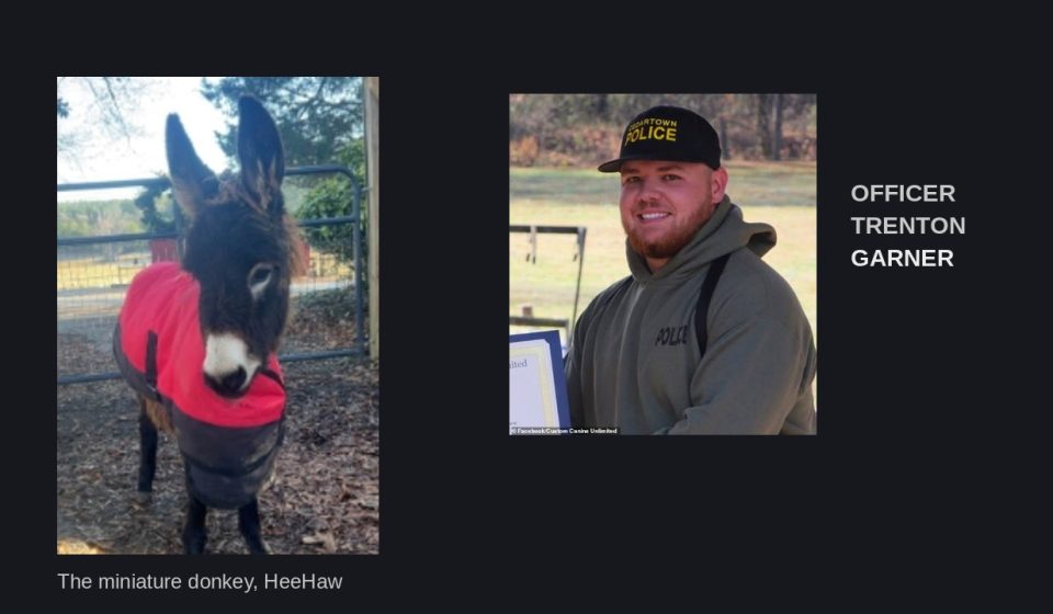 HeeHaw the miniature donkey, and Cedartown Police Officer Trenton Garner (file photos)