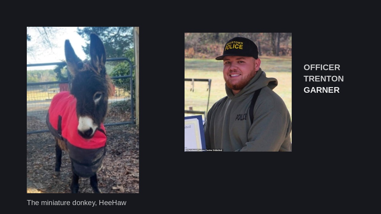 HeeHaw the miniature donkey and Officer Trenton Garner