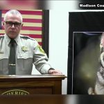A 2.5-year-old Tennessee K-9 was found unresponsive after about 36 hours in an outdoor kennel with no water in 101-degree heat. The handler resigned; criminal and internal investigations are open.