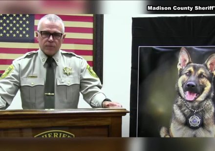 A 2.5-year-old Tennessee K-9 was found unresponsive after about 36 hours in an outdoor kennel with no water in 101-degree heat. The handler resigned; criminal and internal investigations are open.